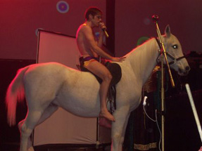 This is your man...on a horse